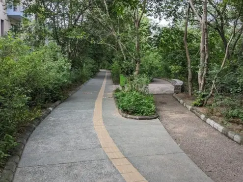 <strong>Disability Parks and Public Places</strong>We are proud to be the first NGO creating disability-friendly parks and public spaces, ensuring that individuals with disabilities can enjoy recreational areas with easy access and inclusive facilities.